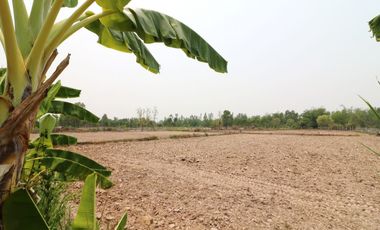 Thailand Property for Sale | 3 BRM 3 BATH House, 16+ Rai Nong Han Udon Thani