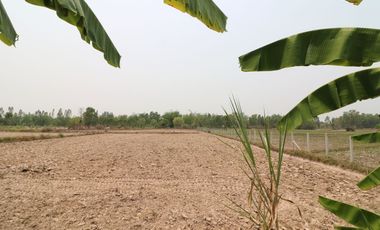 Thailand Property for Sale | 3 BRM 3 BATH House, 16+ Rai Nong Han Udon Thani