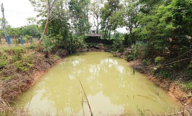 Thailand Property for Sale | 3 BRM 3 BATH House, 16+ Rai Nong Han Udon Thani