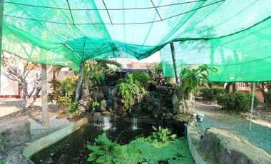 Spacious 4 Bedroom, 3 Bathroom Home on 2,527 Sq. Mt. Land for Sale in Udon Thani, Thailand – Ideal Lifestyle Property