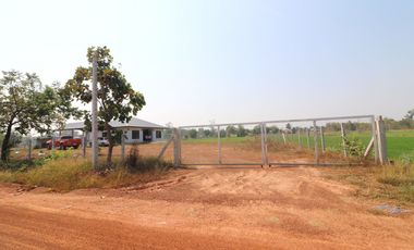 3 BRM 2 BTH Home For Sale with 3+ Rai, Tha Bo, Nong Khai, Thailand