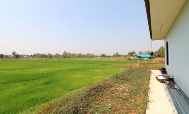 3 BRM 2 BTH Home For Sale with 3+ Rai, Tha Bo, Nong Khai, Thailand