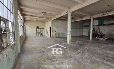 Buenavista Edificio Comercial en Venta