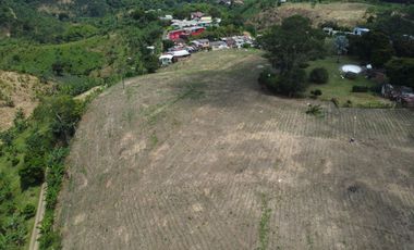 SE VENDE LOTE DE 36.554M2 POR LA SIRIA, VIA A ALCALA