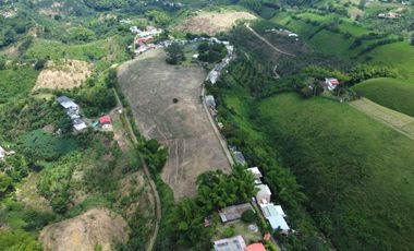 SE VENDE LOTE DE 36.554M2 POR LA SIRIA, VIA A ALCALA