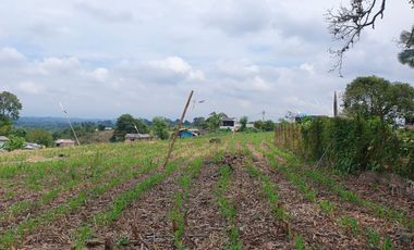 SE VENDE LOTE DE 36.554M2 POR LA SIRIA, VIA A ALCALA