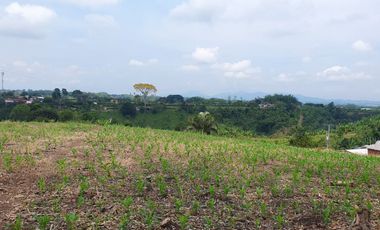 SE VENDE LOTE DE 36.554M2 POR LA SIRIA, VIA A ALCALA