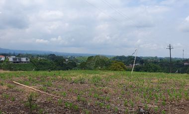 SE VENDE LOTE DE 36.554M2 POR LA SIRIA, VIA A ALCALA