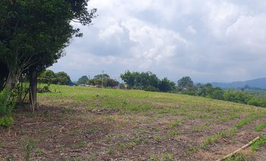 SE VENDE LOTE DE 36.554M2 POR LA SIRIA, VIA A ALCALA