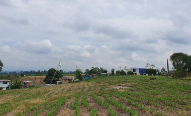 SE VENDE LOTE DE 36.554M2 POR LA SIRIA, VIA A ALCALA