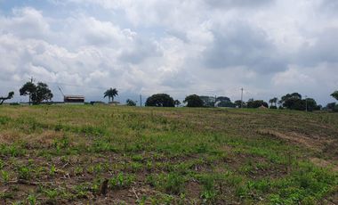 SE VENDE LOTE DE 36.554M2 POR LA SIRIA, VIA A ALCALA