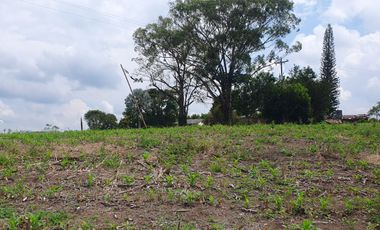 SE VENDE LOTE DE 36.554M2 POR LA SIRIA, VIA A ALCALA
