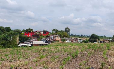 SE VENDE LOTE DE 36.554M2 POR LA SIRIA, VIA A ALCALA