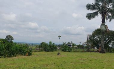 SE VENDE LOTE DE 36.554M2 POR LA SIRIA, VIA A ALCALA