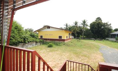 For Sale: 2 Homes + Shop on 2+ Rai – Lam Pao, Kalasin, Thailand
