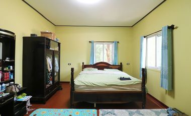 For Sale: 2 Homes + Shop on 2+ Rai – Lam Pao, Kalasin, Thailand