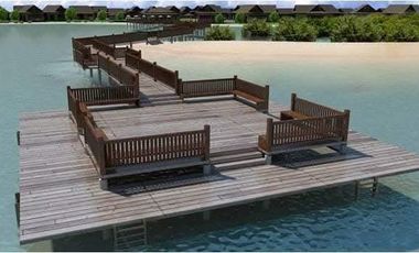 FOR SALE BEACH FRONT  HOUSE AND LOT  IN GUINSAY DANAO  CITY