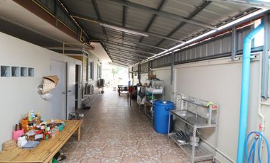 2 Homes Comprising 4 Bedrooms, 4 Bathrooms For Sale in Hin Khon, Lam Plai Mat, Buriram, Thailand