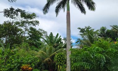 BONITA CASA AMOBLADA 100 M2 + 9.600 M2 DE TERRENO - PUERTO QUITO JUNTO AL RIO CAONI