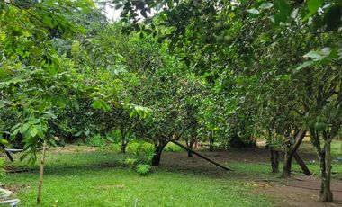 BONITA CASA AMOBLADA 100 M2 + 9.600 M2 DE TERRENO - PUERTO QUITO JUNTO AL RIO CAONI
