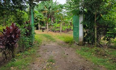 BONITA CASA AMOBLADA 100 M2 + 9.600 M2 DE TERRENO - PUERTO QUITO JUNTO AL RIO CAONI