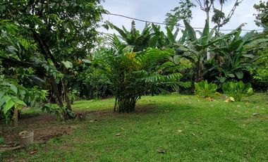 BONITA CASA AMOBLADA 100 M2 + 9.600 M2 DE TERRENO - PUERTO QUITO JUNTO AL RIO CAONI