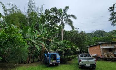 BONITA CASA AMOBLADA 100 M2 + 9.600 M2 DE TERRENO - PUERTO QUITO JUNTO AL RIO CAONI