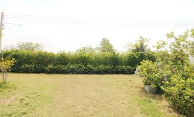 A Magnificent And Gorgeous 2 Level Home For Sale In Buriram, Thailand