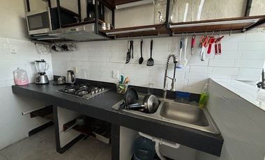 DEPARTAMENTO AMUEBLADO EN RENTA EN PROVILEON, RANGEL FRIAS Y RUIZ CORTINES