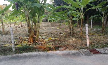 Land for sale in Krungthep Kreetha, Soi 8, Intersection 16, size 20 x 40 m., 210 sqw, selling price 90,000 baht per sqw. total 18.9 m.