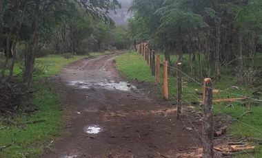 VENDO 2800 HECTAREAS EN LAGO BRAVO, COMUNA DE COYHAIQUE, REGIÓN DE AYSEN DEL GENERAL CARLOS IBAÑEZ DEL CAMPO