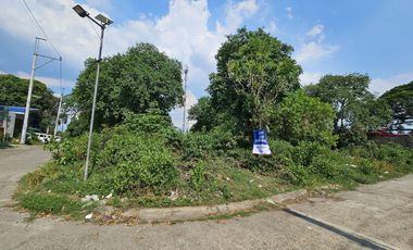 FOR SALE: 676 SQM Residential Lot in Bankers Village, Caloocan - DG