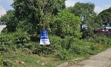FOR SALE: 676 SQM Residential Lot in Bankers Village, Caloocan - DG
