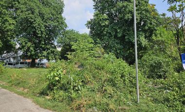 FOR SALE: 676 SQM Residential Lot in Bankers Village, Caloocan - DG