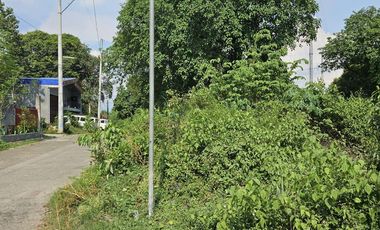 FOR SALE: 676 SQM Residential Lot in Bankers Village, Caloocan - DG