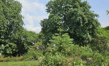 FOR SALE: 676 SQM Residential Lot in Bankers Village, Caloocan - DG