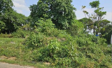 FOR SALE: 676 SQM Residential Lot in Bankers Village, Caloocan - DG