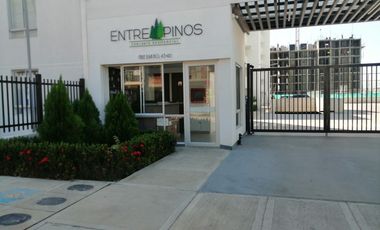 APARTAMENTO EN RENTA CONJUNTO ENTRE PINOS ZONA HORIENTE NEIVA Apto 306 Torre 2