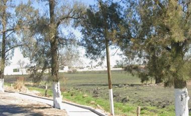 TERRENO EN VENTA EN IXTLAHUACAN DE LOS MEMBRILLOS