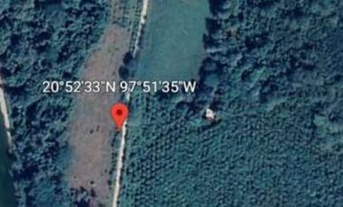 Rancho con 80 Hectáreas en Venta en Álamo, Veracruz