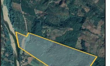 Rancho con 80 Hectáreas en Venta en Álamo, Veracruz