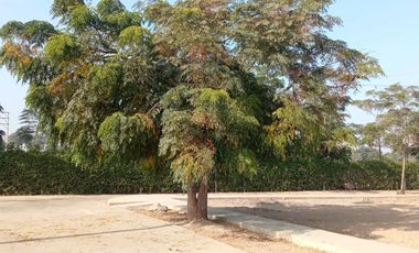 ¡Vive en el lugar más bonito del valle de Cañete!