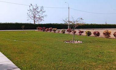 ¡Vive en el lugar más bonito del valle de Cañete!