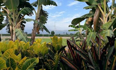 ¡Vive en el lugar más bonito del valle de Cañete!