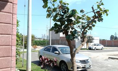 ¡Vive en el lugar más bonito del valle de Cañete!