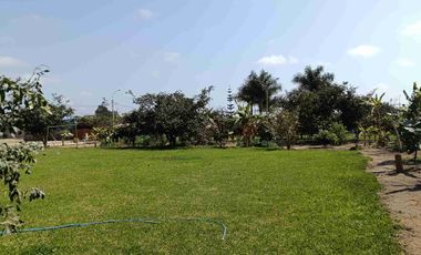 ¡Vive en el lugar más bonito del valle de Cañete!