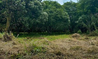 Lot for sale in Santor, Bongabon