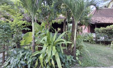 Hotel Resort di Ujung Genteng Sukabumi, Jawa Barat dengan view pantai