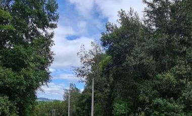 EN Venta Maravillosas Parcelas cercanas a Villarricacon luz, agua muy buen camino