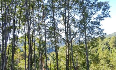 EN Venta Maravillosas Parcelas cercanas a Villarricacon luz, agua muy buen camino